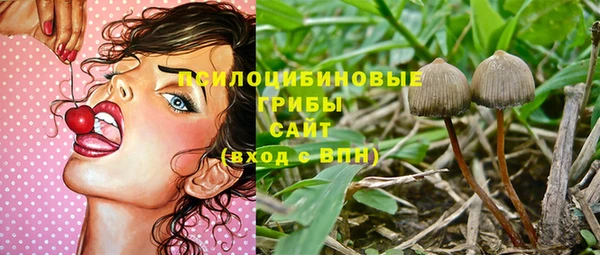 дмт Новозыбков