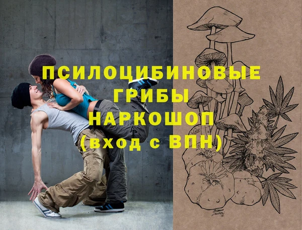 дмт Новозыбков