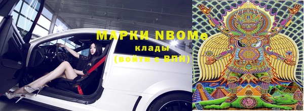 дмт Новозыбков