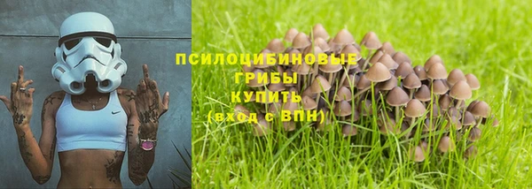 дмт Новозыбков