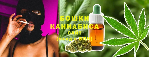 дмт Новозыбков