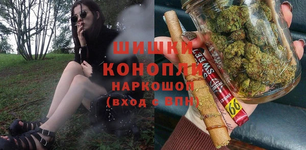дмт Новозыбков