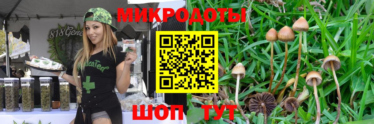 Галлюциногенные грибы Cubensis Петрозаводск