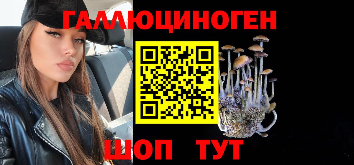 Галлюциногенные грибы MAGIC MUSHROOMS  Галлюциногенные грибы GOLDEN TEACHER  Вход с VPN  Петрозаводск 