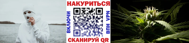 хочу наркоту Петрозаводск ссылка на мегу как войти Шишки марихуана SATIVA & INDICA